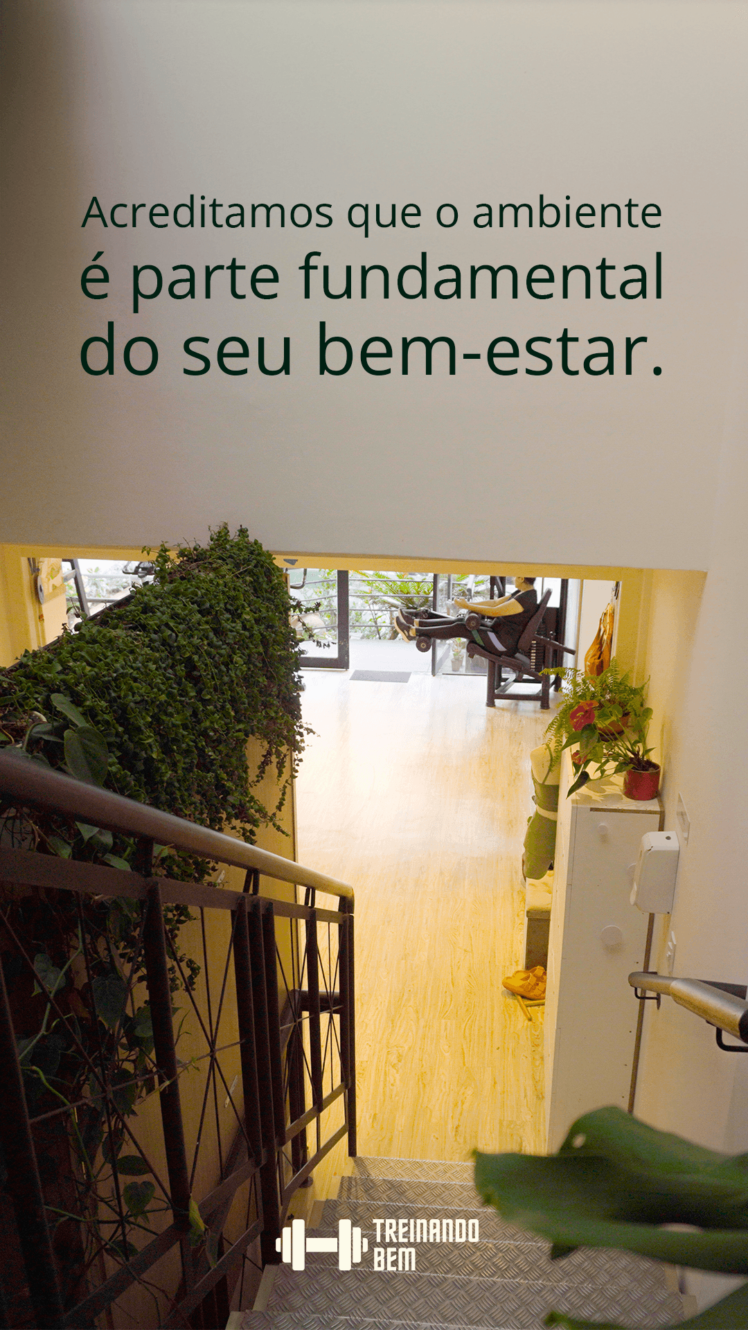 Ambiente e atendimentos Treinando Bem